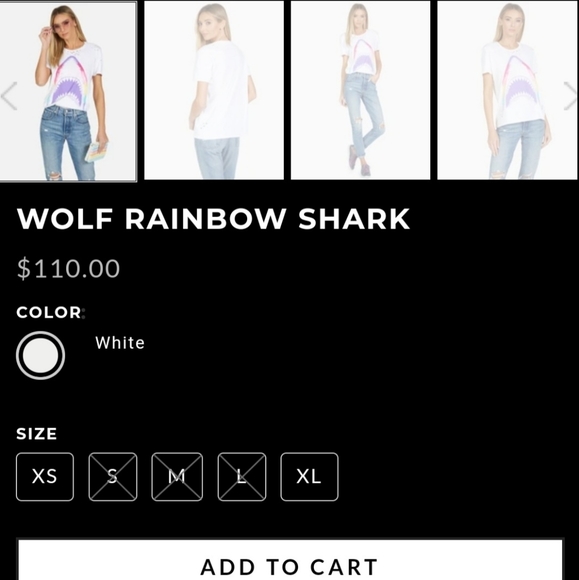 Lauren Moshi Distressed Wolf Rainbow tee - Picture 7 of 8